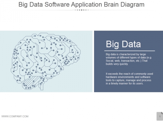 Big Data Software Application Brain Diagram Ppt PowerPoint Presentation Slides Big Data Software Application Brain Diagram Ppt PowerPoint Presentation Slides