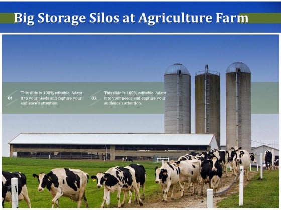 Big Storage Silos At Agriculture Farm Ppt PowerPoint Presentation File Icons PDF Big Storage Silos At Agriculture Farm Ppt PowerPoint Presentation File Icons PDF