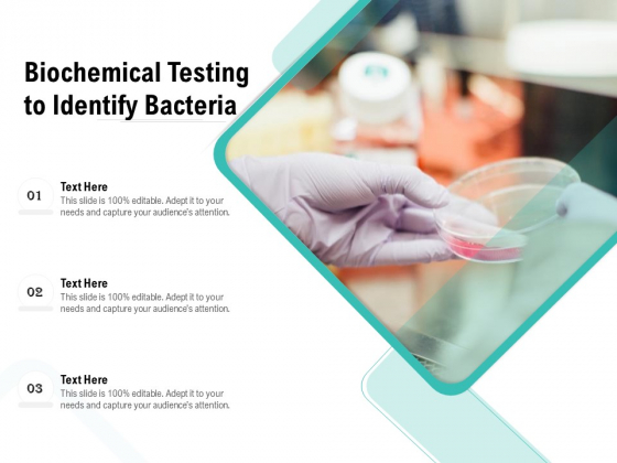 Biochemical Testing To Identify Bacteria Ppt PowerPoint Presentation Gallery Information PDF