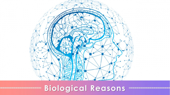 Biological Causes Behind Biases In Humans Training Ppt Biological Causes Behind Biases In Humans Training Ppt