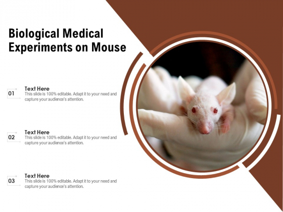 Biological Medical Experiments On Mouse Ppt PowerPoint Presentation Portfolio Deck PDF Biological Medical Experiments On Mouse Ppt PowerPoint Presentation Portfolio Deck PDF