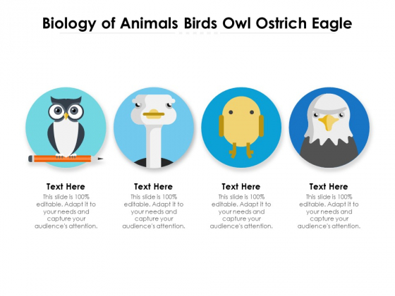 Biology Of Animals Birds Owl Ostrich Eagle Ppt PowerPoint Presentation Gallery Outline PDF Biology Of Animals Birds Owl Ostrich Eagle Ppt PowerPoint Presentation Gallery Outline PDF