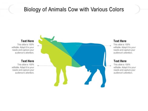 Biology Of Animals Cow With Various Colors Ppt PowerPoint Presentation Gallery Visual Aids PDF