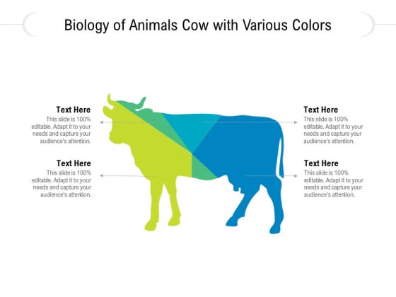 Biology Of Animals Cow With Various Colors Ppt PowerPoint Presentation Gallery Visual Aids PDF Biology Of Animals Cow With Various Colors Ppt PowerPoint Presentation Gallery Visual Aids PDF