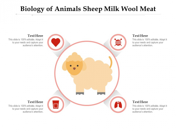 Biology Of Animals Sheep Milk Wool Meat Ppt PowerPoint Presentation Gallery Format PDF Biology Of Animals Sheep Milk Wool Meat Ppt PowerPoint Presentation Gallery Format PDF