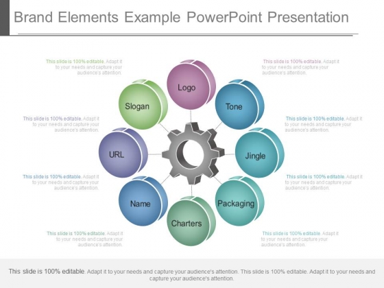 Brand Elements Example Powerpoint Presentation