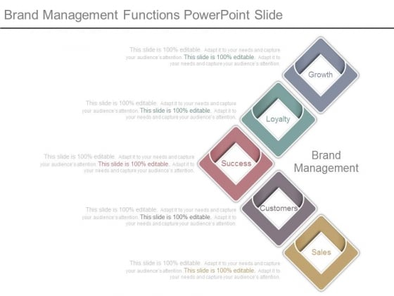 Brand Management Functions Powerpoint Slide