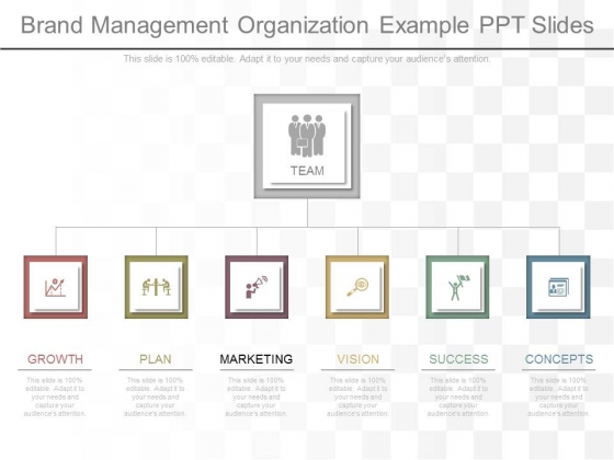 Brand Management Organization Example Ppt Slides Brand Management Organization Example Ppt Slides