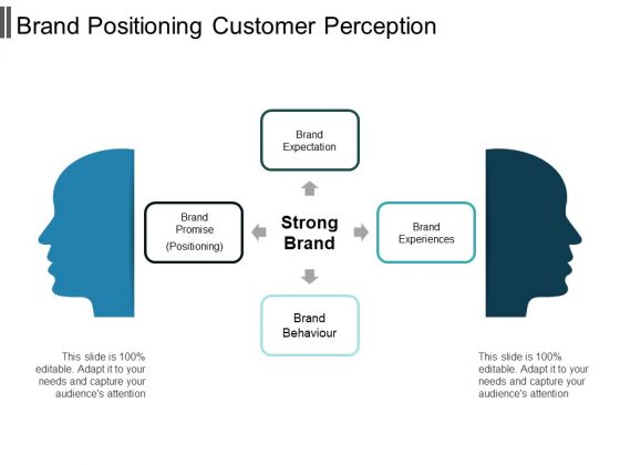 Brand Positioning Customer Perception Ppt PowerPoint Presentation Professional Background Designs Brand Positioning Customer Perception Ppt PowerPoint Presentation Professional Background Designs