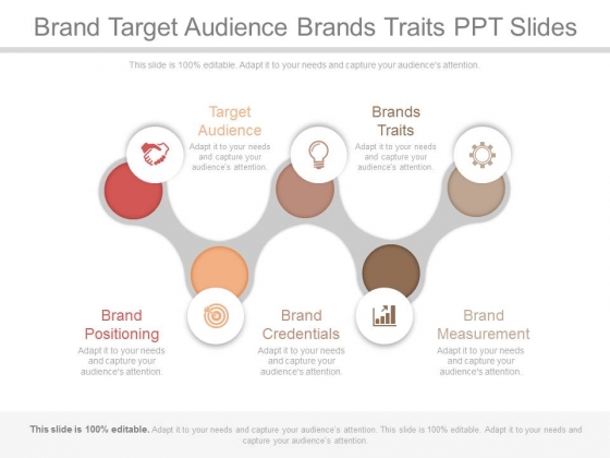 Brand Target Audience Brands Traits Ppt Slides Brand Target Audience Brands Traits Ppt Slides