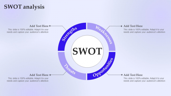 Branding Instructions Playbook SWOT Analysis Brochure PDF