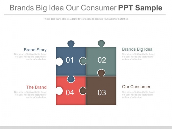 Brands Big Idea Our Consumer Ppt Sample Brands Big Idea Our Consumer Ppt Sample