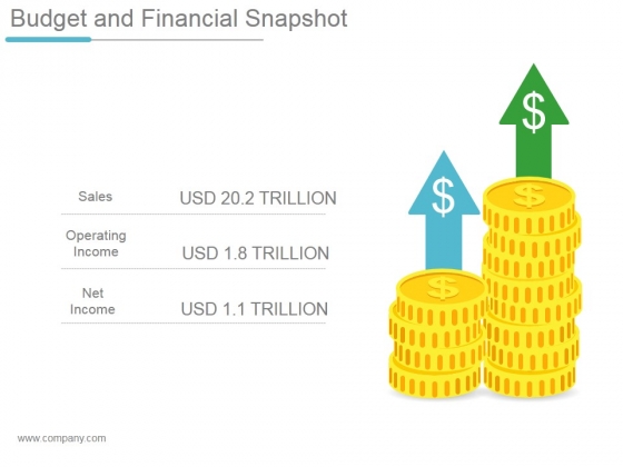 Budget And Financial Snapshot Ppt PowerPoint Presentation Example Budget And Financial Snapshot Ppt PowerPoint Presentation Example