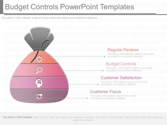 Budget Controls Powerpoint Templates