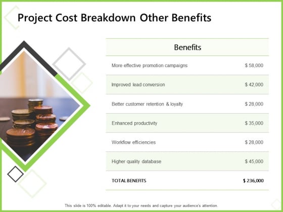 Budget Cost Project Plan Project Cost Breakdown Other Benefits Inspiration PDF Budget Cost Project Plan Project Cost Breakdown Other Benefits Inspiration PDF