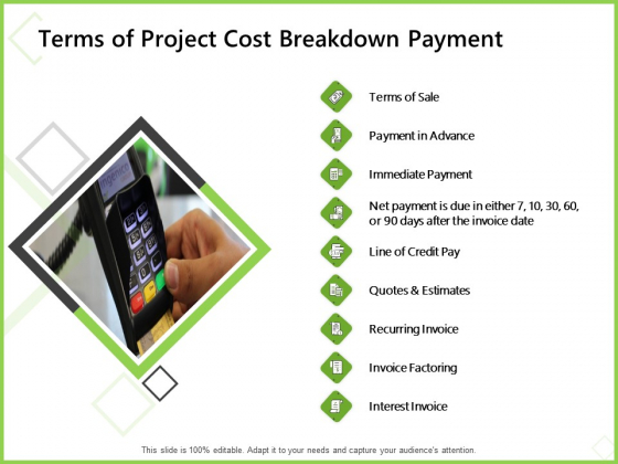 Budget Cost Project Plan Terms Of Project Cost Breakdown Payment Pictures PDF