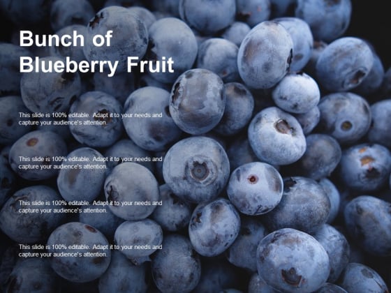 Bunch Of Blueberry Fruit Ppt Powerpoint Presentation Model Clipart Images Bunch Of Blueberry Fruit Ppt Powerpoint Presentation Model Clipart Images