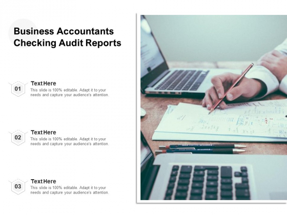 Business Accountants Checking Audit Reports Ppt PowerPoint Presentation Summary Template PDF