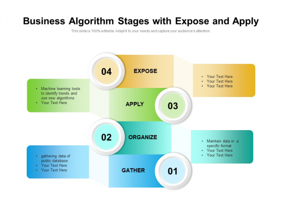 Business Algorithm Stages With Expose And Apply Ppt PowerPoint Presentation File Picture PDF Business Algorithm Stages With Expose And Apply Ppt PowerPoint Presentation File Picture PDF