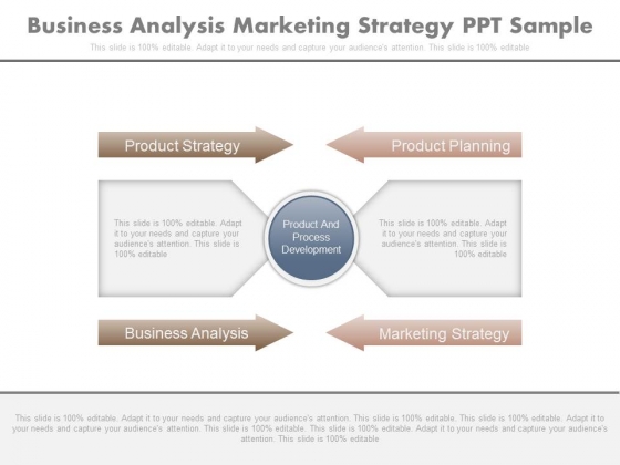 Business Analysis Marketing Strategy Ppt Sample