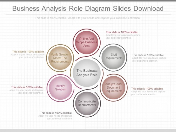 Business Analysis Role Diagram Slides Download