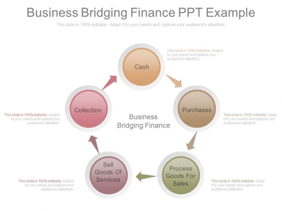 Business Bridging Finance Ppt Example Business Bridging Finance Ppt Example