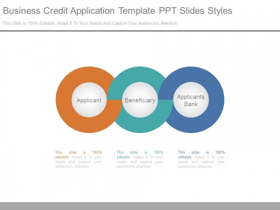 Business Credit Application Template Ppt Slides Styles Business Credit Application Template Ppt Slides Styles