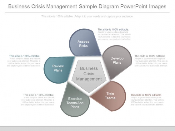 Business Crisis Management Sample Diagram Powerpoint Images