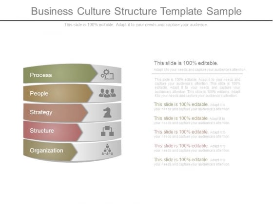 Business Culture Structure Template Sample Business Culture Structure Template Sample