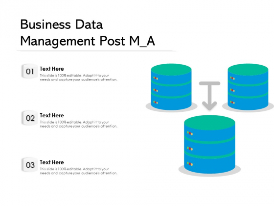 Business Data Management Post M A Ppt PowerPoint Presentation Gallery Visuals PDF