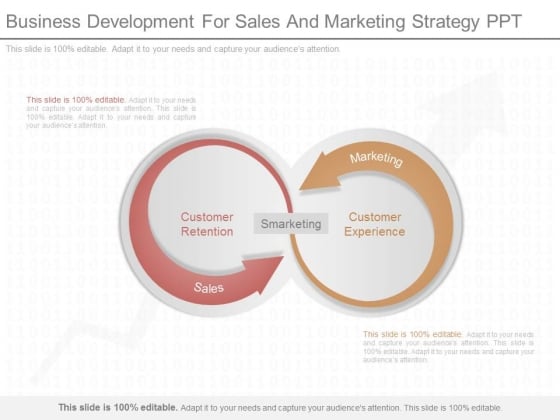 Business Development For Sales And Marketing Strategy Ppt Business Development For Sales And Marketing Strategy Ppt