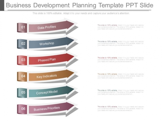 Business Development Planning Template Ppt Slide
