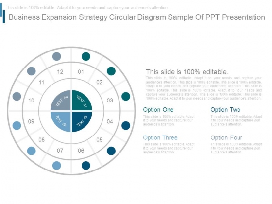 Business Expansion Strategy Circular Diagram Sample Of Ppt Presentation Business Expansion Strategy Circular Diagram Sample Of Ppt Presentation