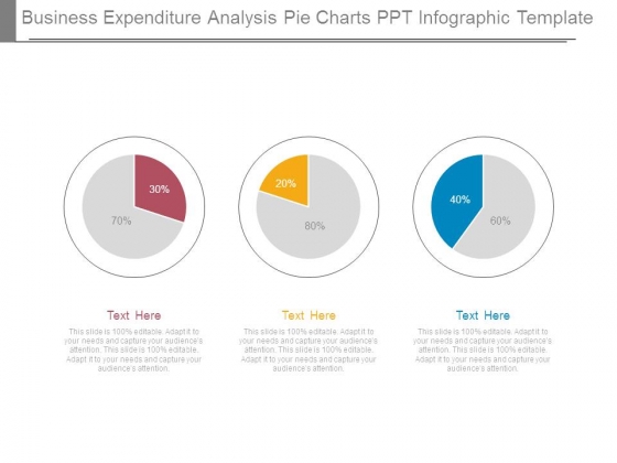 Business Expenditure Analysis Pie Charts Ppt Infographic Template