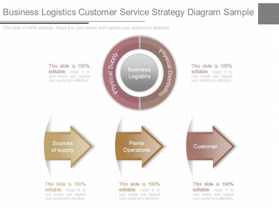 Business Logistics Customer Service Strategy Diagram Sample Business Logistics Customer Service Strategy Diagram Sample