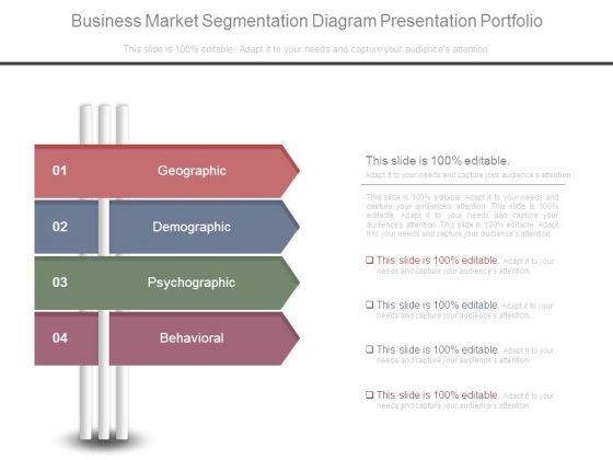 Business_Market_Segmentation_Diagram_Presentation_Portfolio_1