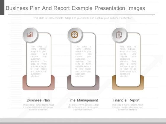 Business Plan And Report Example Presentation Images Business Plan And Report Example Presentation Images