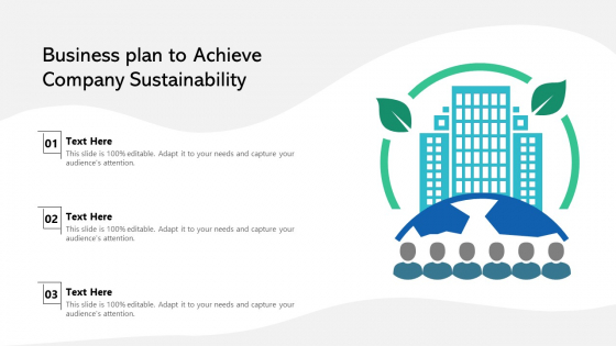 Business Plan To Achieve Company Sustainability Ppt Professional Rules PDF