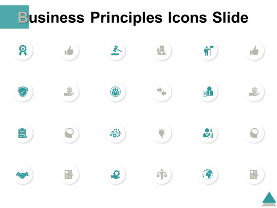 Business Principles Icons Slide Opportunity Ppt PowerPoint Presentation Guide