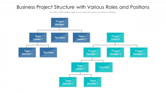 Business Project Structure With Various Roles And Positions Ppt PowerPoint Presentation Layouts Portfolio PDF