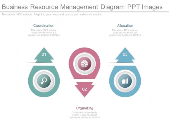 Business Resource Management Diagram Ppt Images