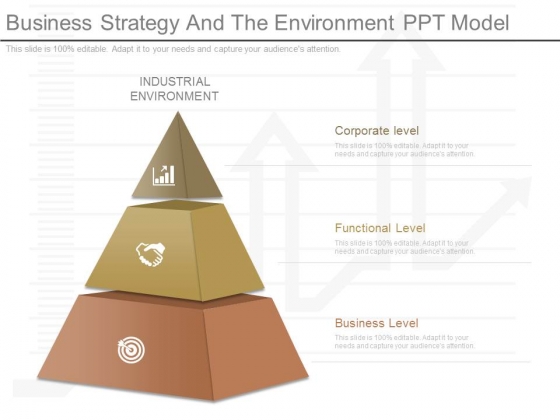 Business Strategy And The Environment Ppt Model Business Strategy And The Environment Ppt Model