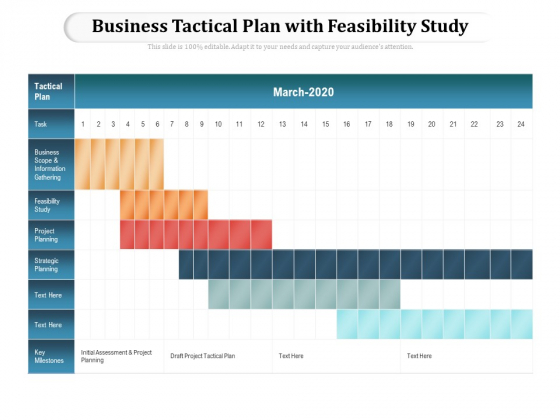 Business Tactical Plan With Feasibility Study Ppt PowerPoint Presentation File Picture PDF