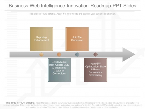 Business Web Intelligence Innovation Roadmap Ppt Slides