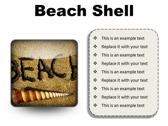 Beach Shell Holidays PowerPoint Presentation Slides S
