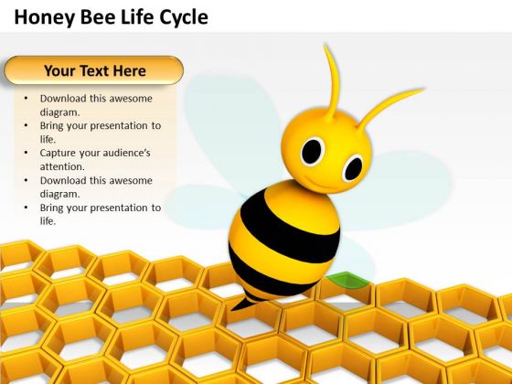 Business Development Strategy Honey Bee Life Cycle Clipart Business Development Strategy Honey Bee Life Cycle Clipart