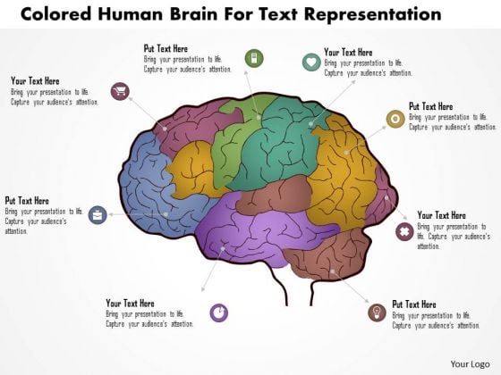 Business Diagram Colored Human Brain For Text Repesentation Presentation Template Business Diagram Colored Human Brain For Text Repesentation Presentation Template