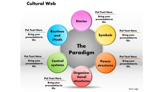 Business Diagram Cultural Web PowerPoint Ppt Presentation