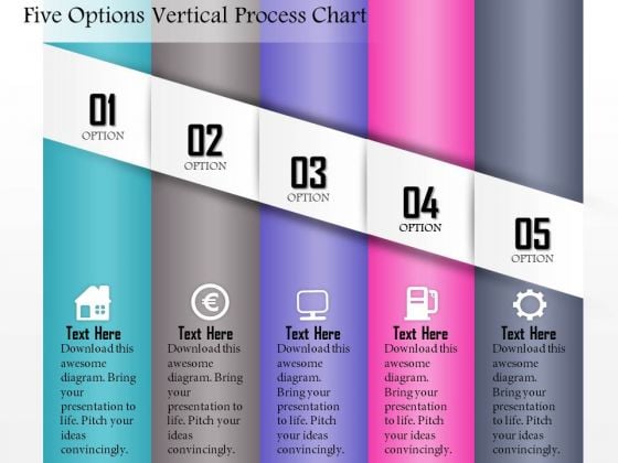 Business Diagram Five Options Vertical Process Chart Presentation Template Business Diagram Five Options Vertical Process Chart Presentation Template