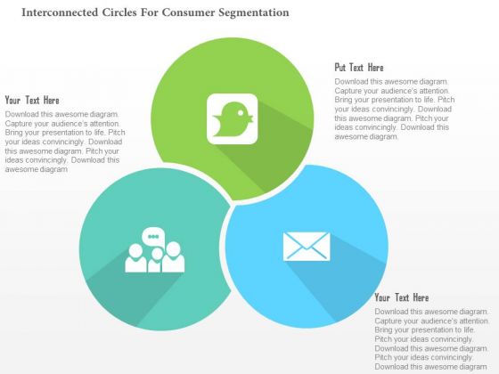 Business Diagram Interconnected Circles For Consumer Segmentation Presentation Template